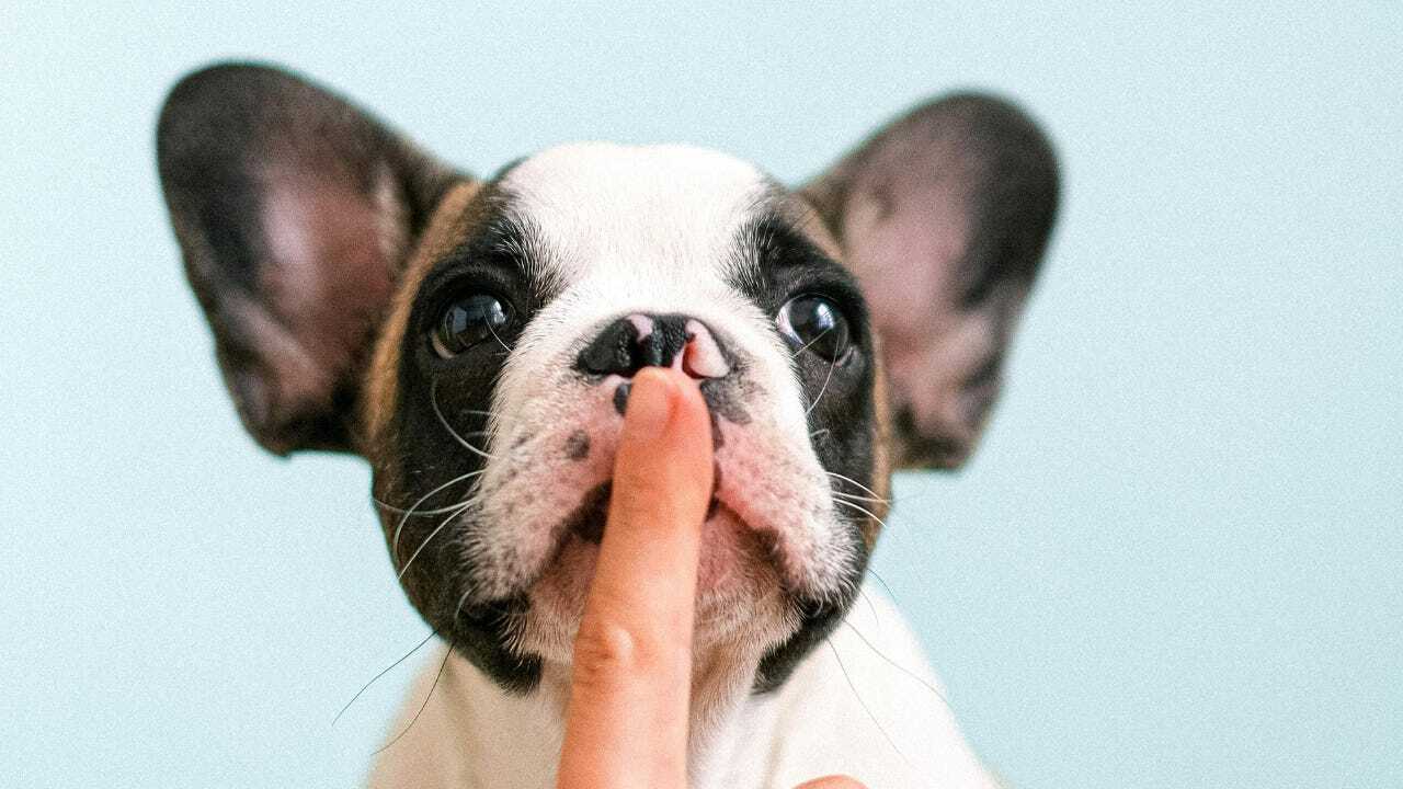 Your Merch Should Whisper, Not Shout